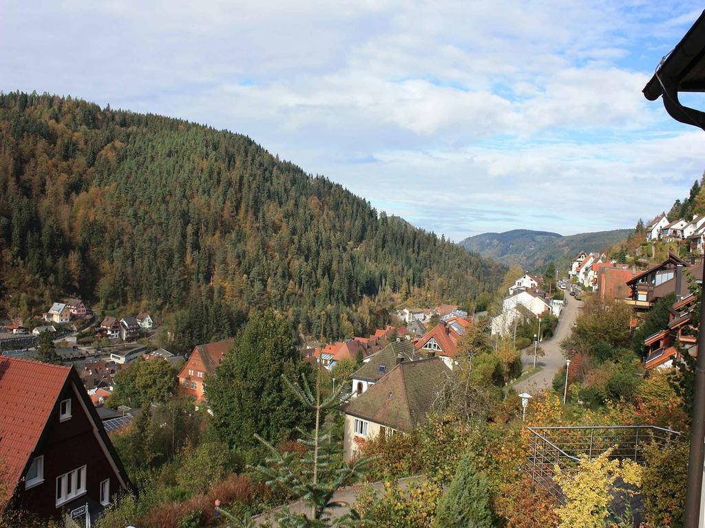 Ferienwohnung King Triberg im Schwarzwald Exterior foto